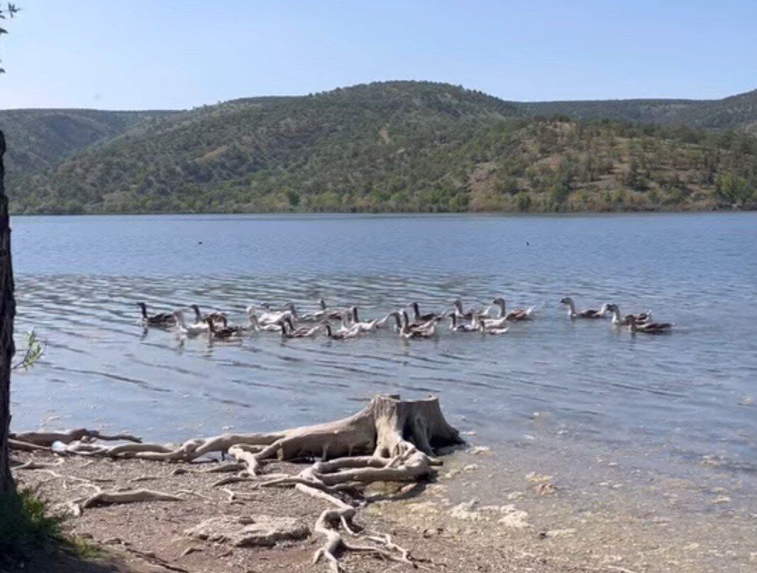 Eymir Lake-安卡拉必去景点