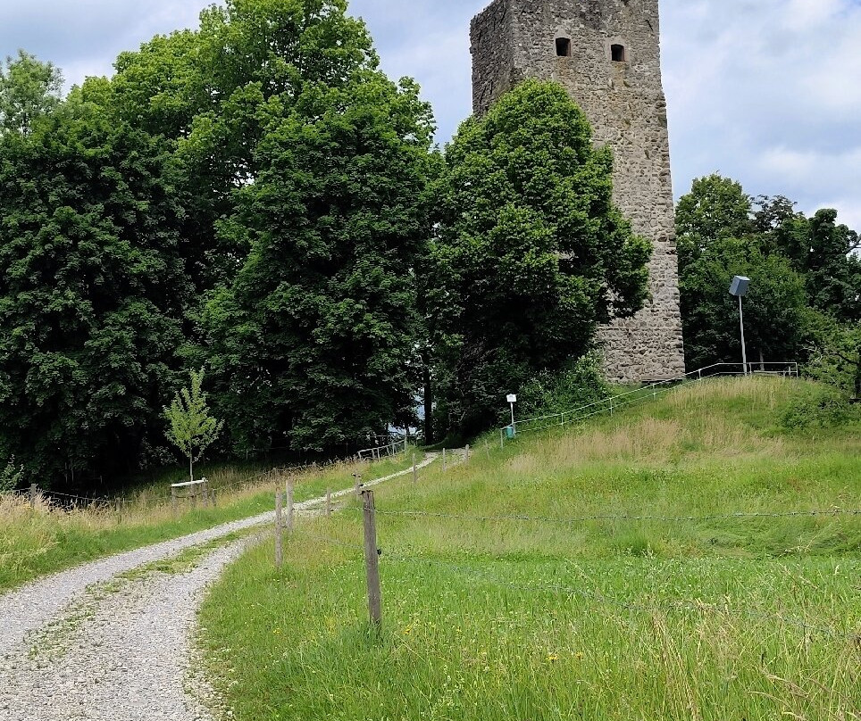 Burgruine Neuravensburg景点图片