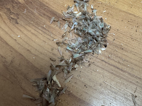 沙滩度假村主图