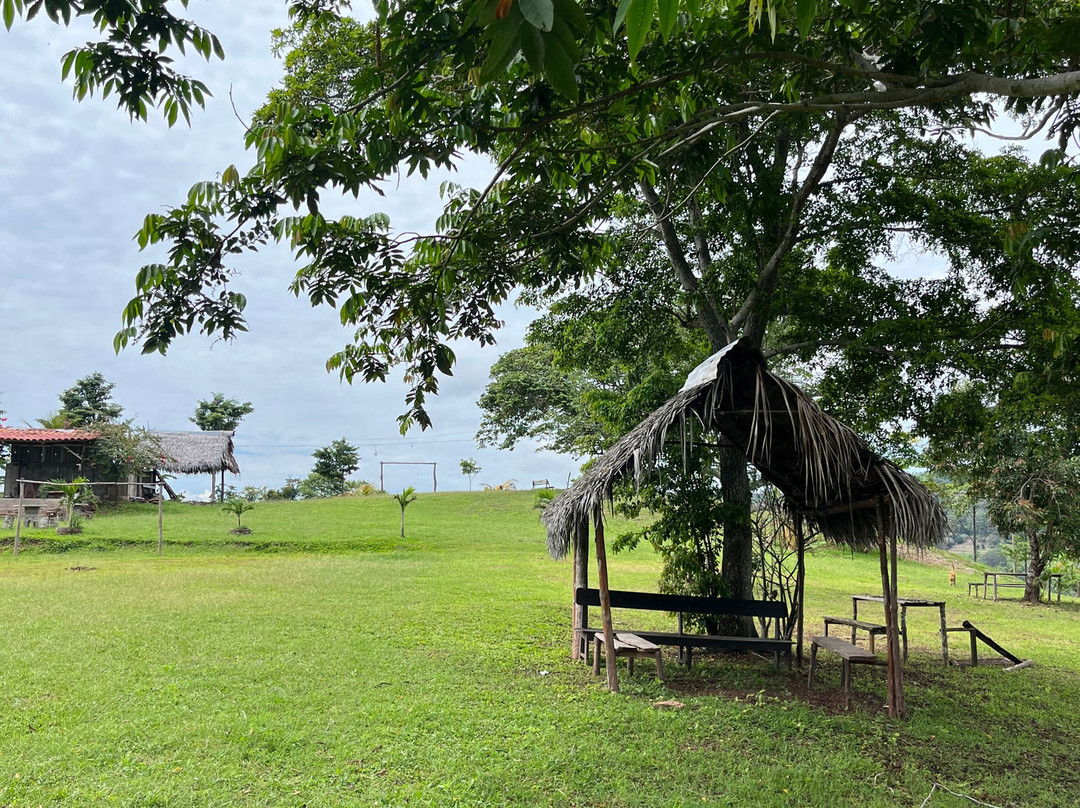 Finca Ecológica Alegria-Lamas必去景点