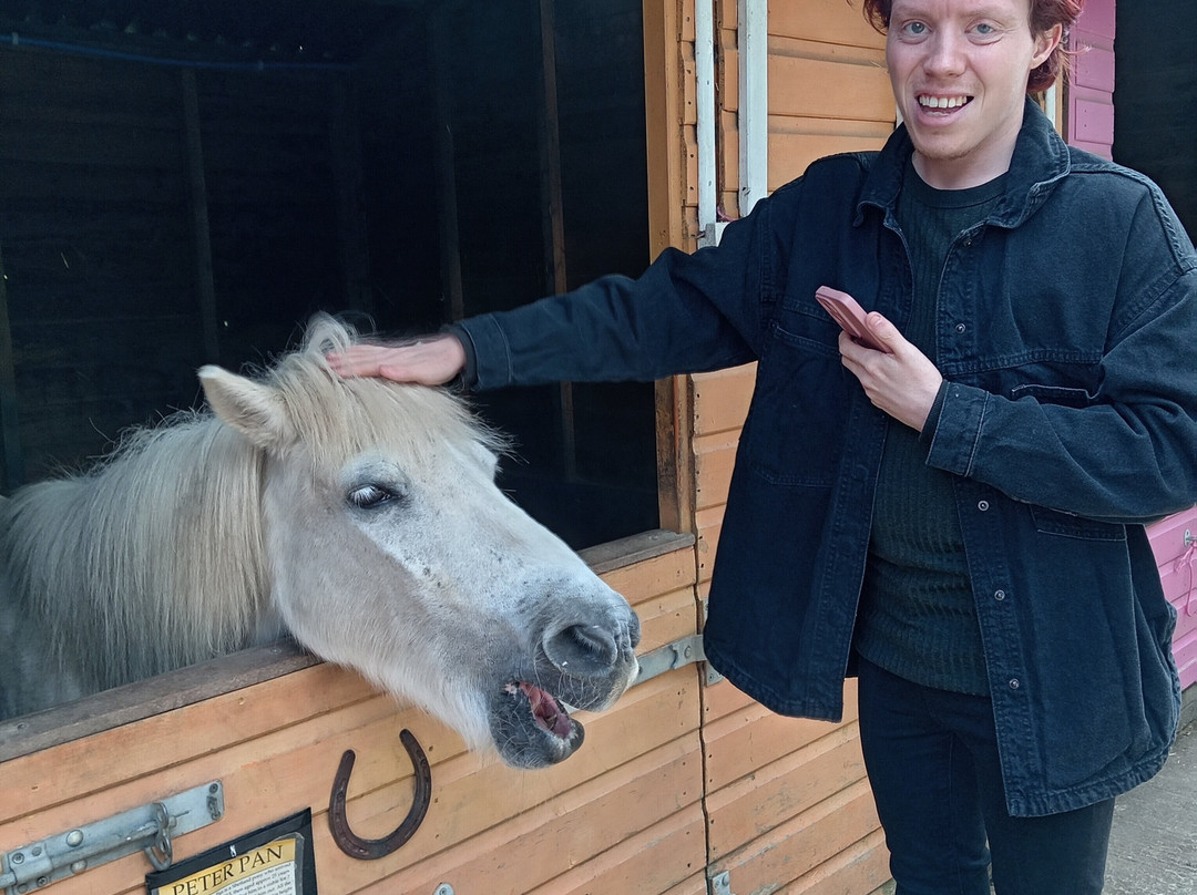 Hopefield Animal Sanctuary & Visitor Centre景点图片