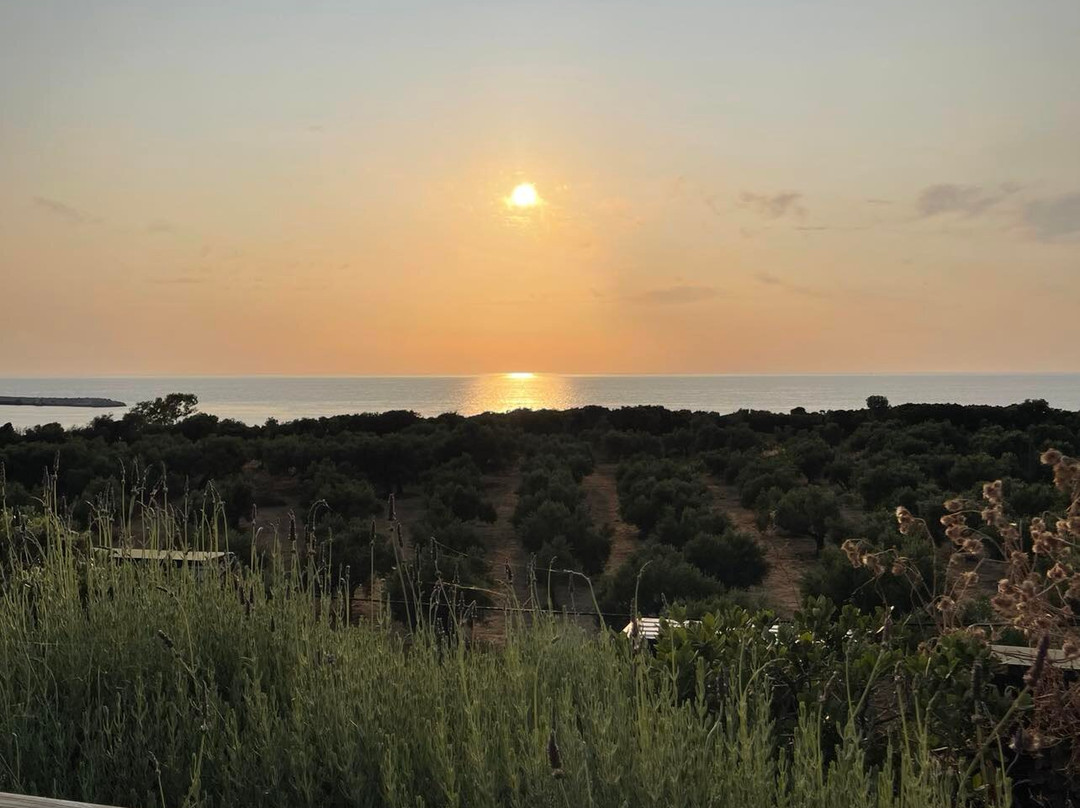 Apollo Resort Art Hotel主图