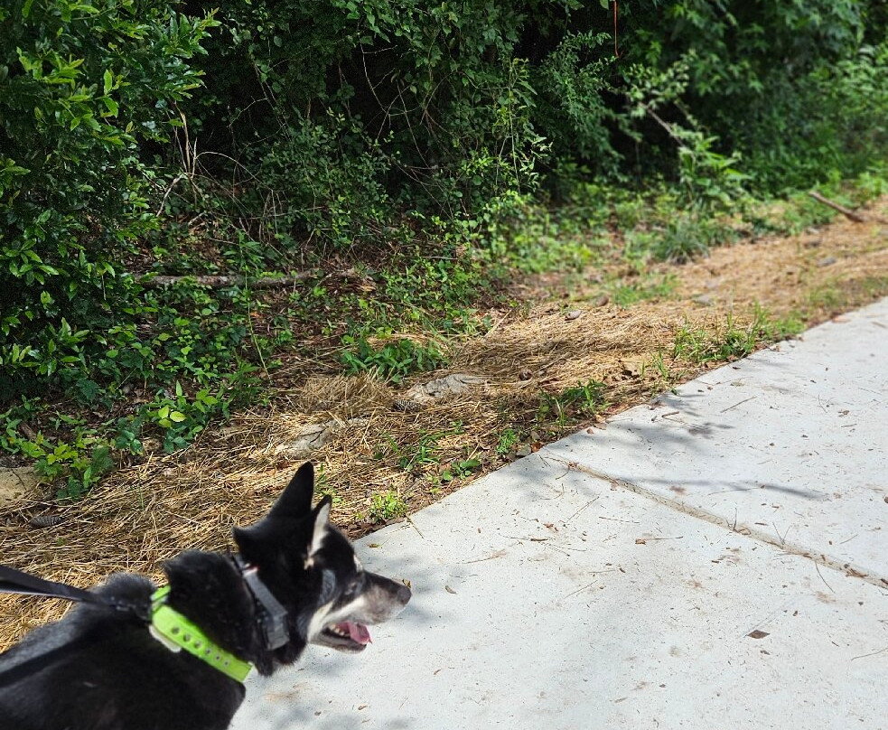 Chattahoochee River National Recreation Area-桑迪斯普林斯必去景点