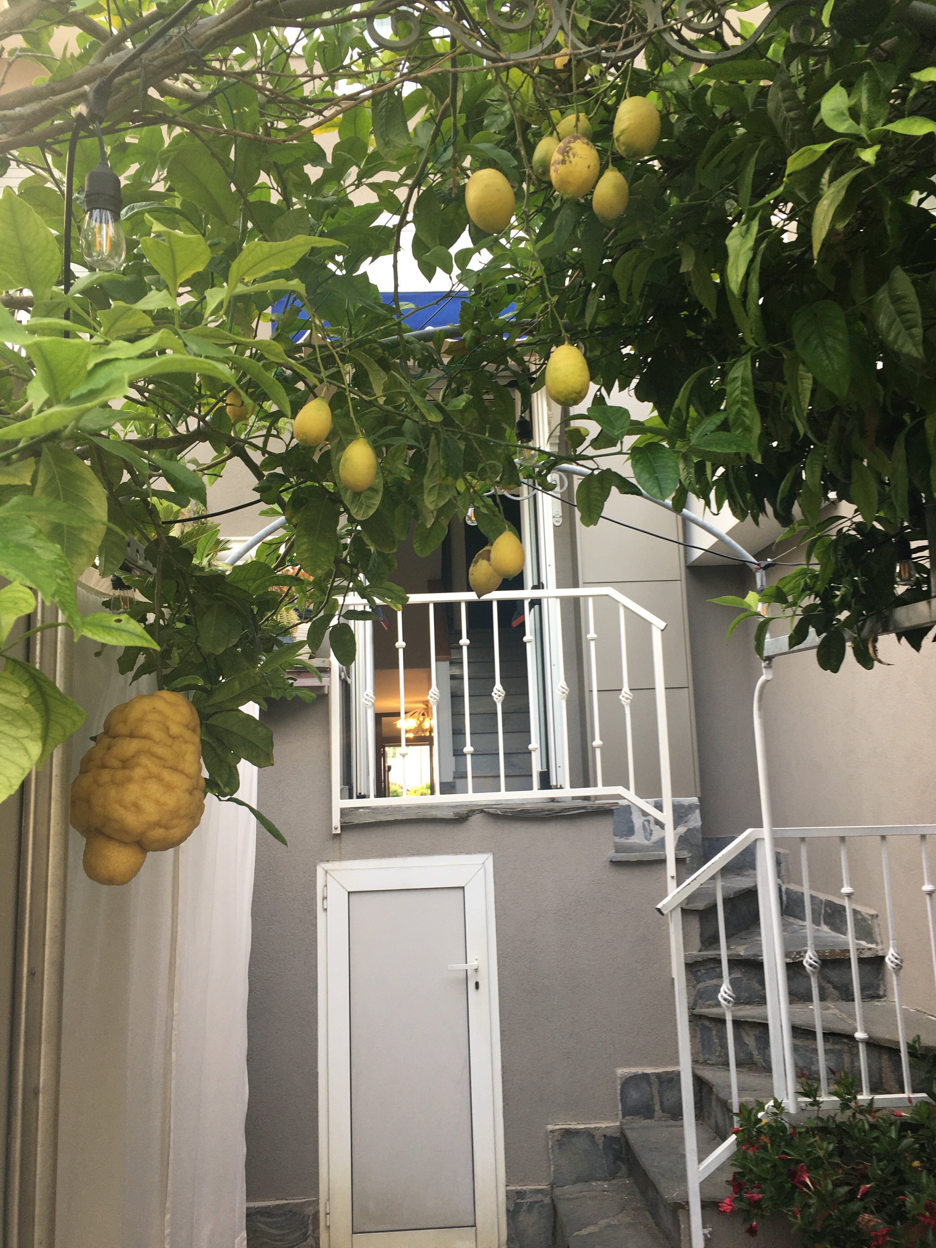 Hotel Fortunella-浴室