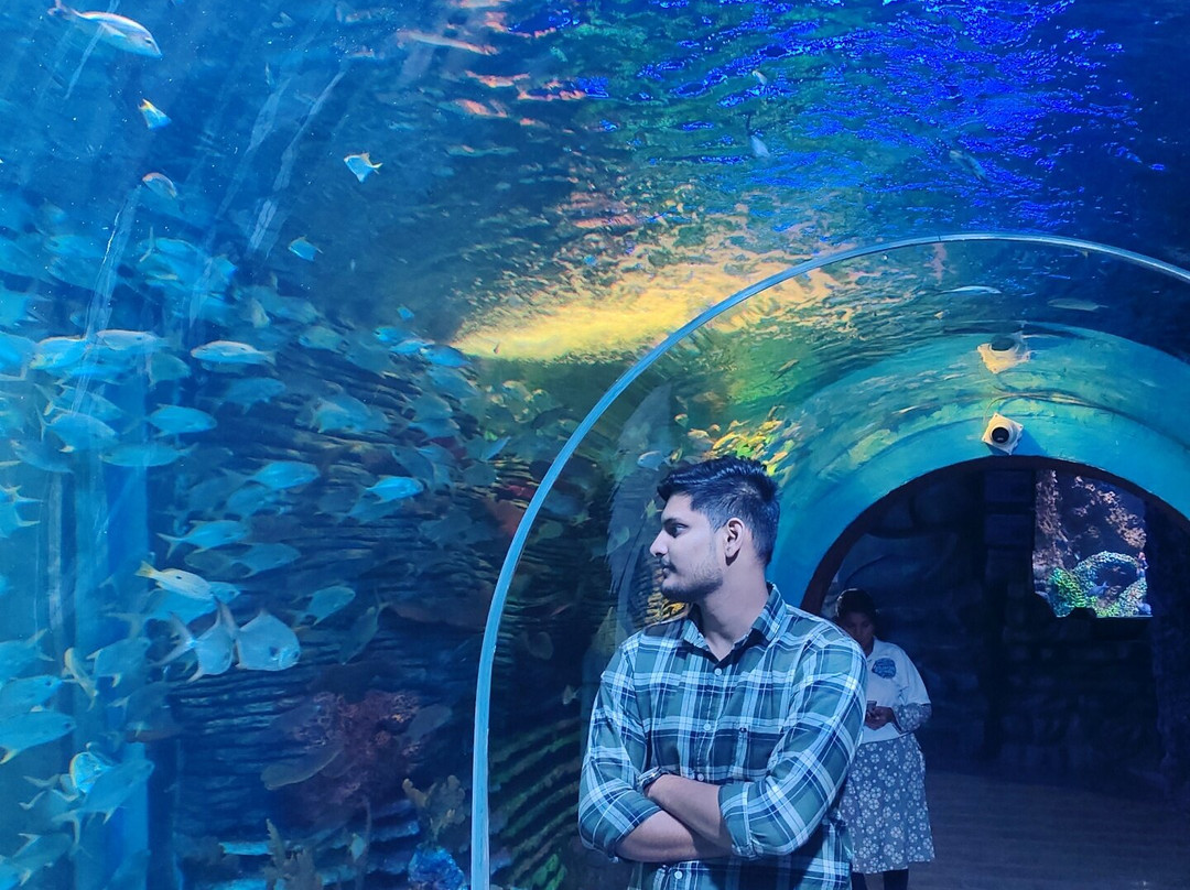 Aquarium Paradise景点图片