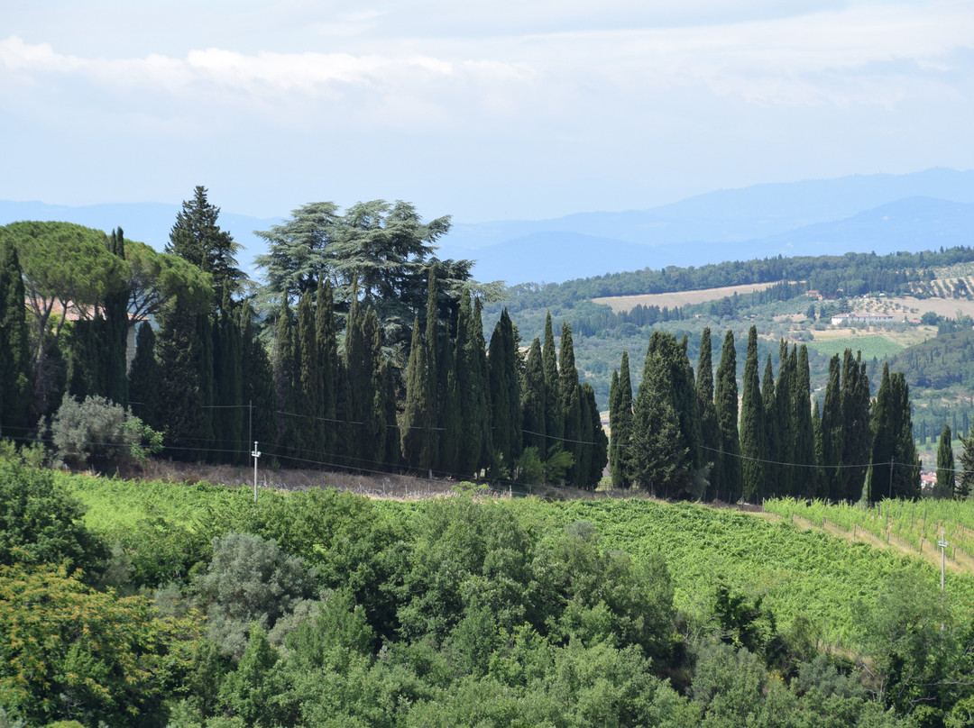 Castello di Montefioralle-格雷韦伊恩基亚恩蒂必去景点