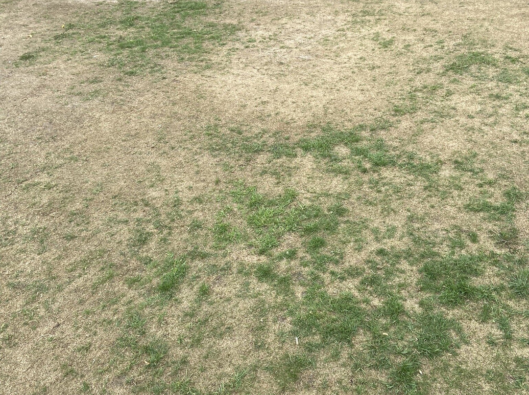 Matfen Hall Golf-Kirkharle必去景点