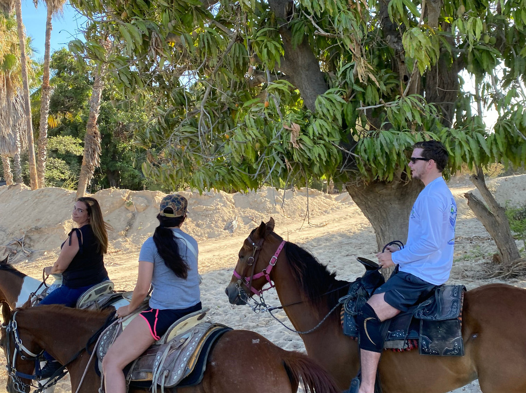 Rancho Animas-Animas Bajas必去景点