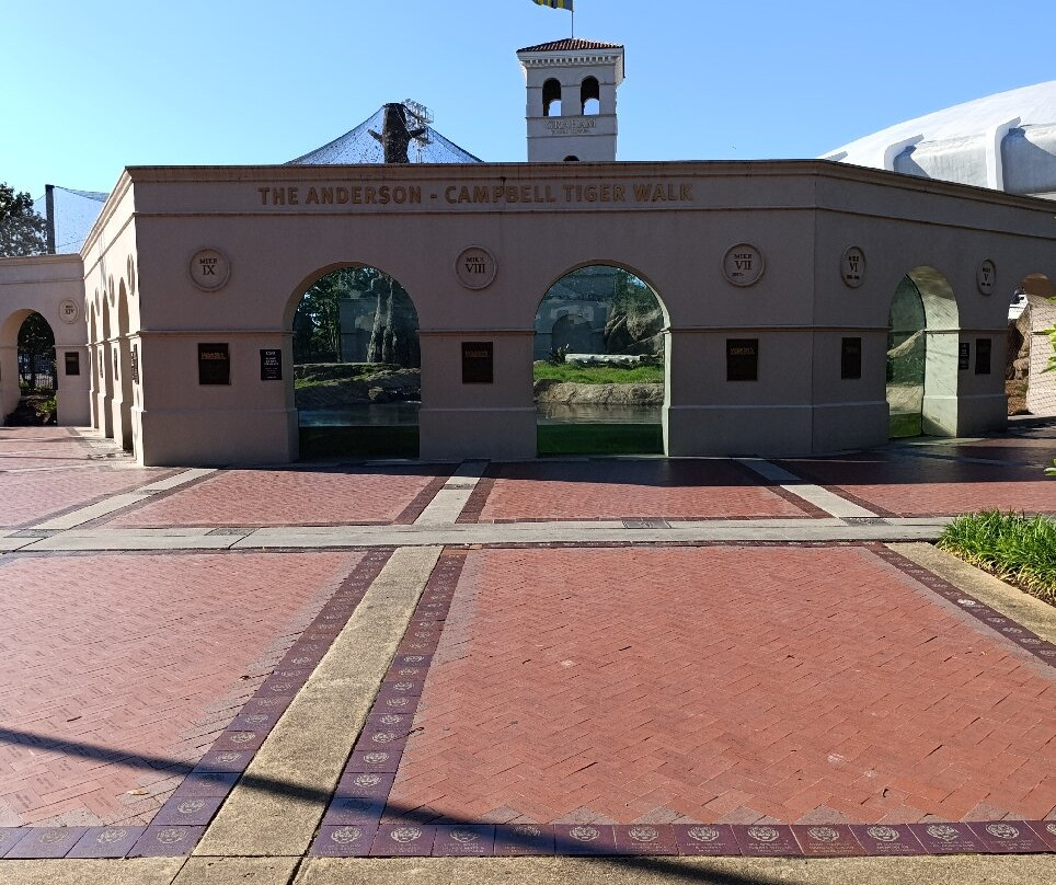 LSU Tiger Stadium-巴吞鲁日必去景点