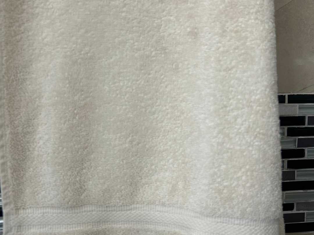 Warm Mineral Springs Motel主图