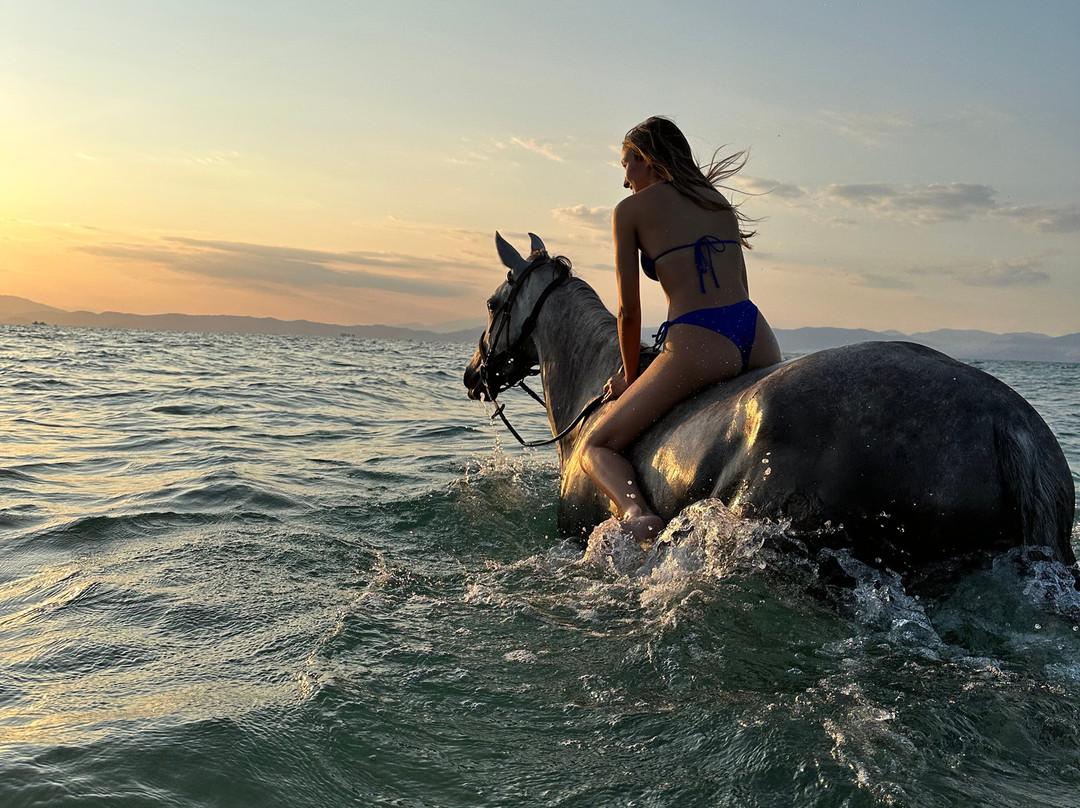 Thassos Horse Club-Skala Prinou必去景点