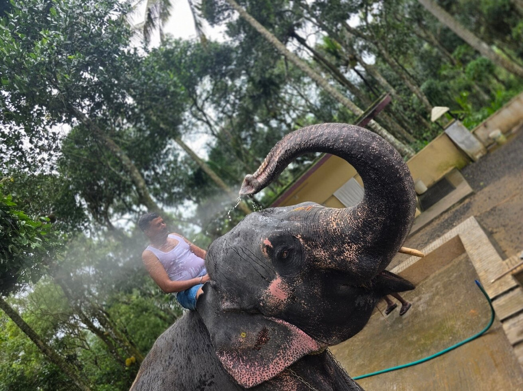 Kalpavanam Elephant Park