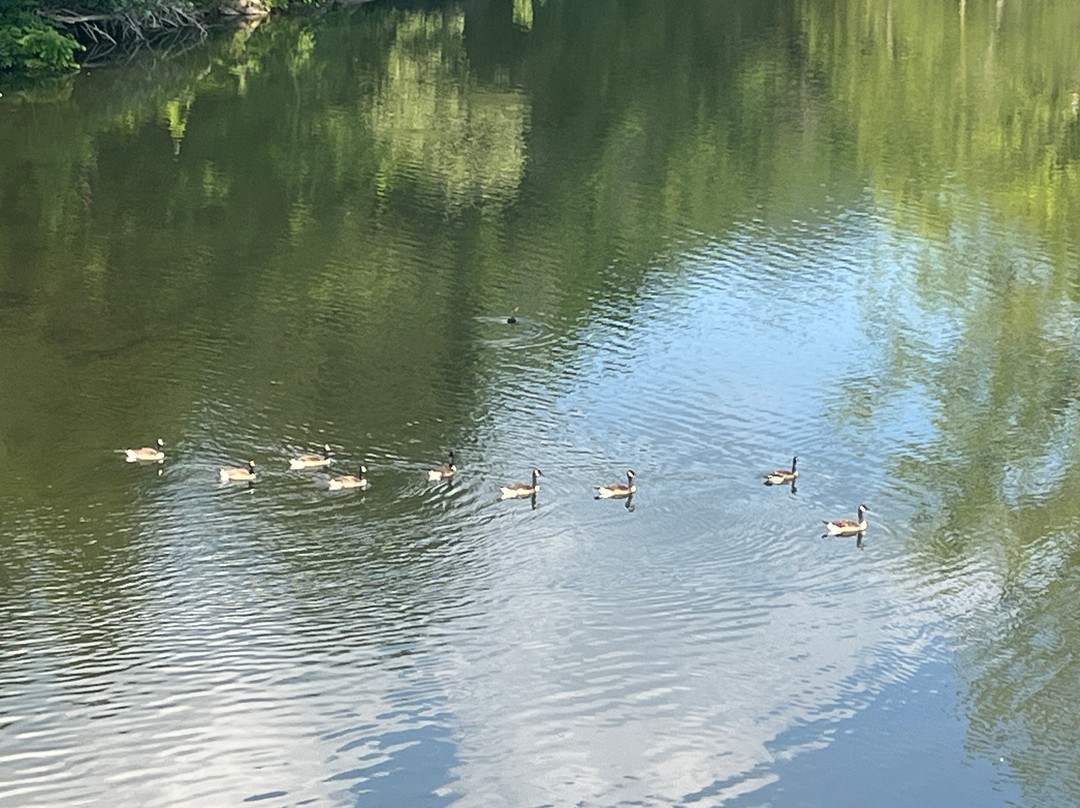 Damascus Old Mill Inn主图