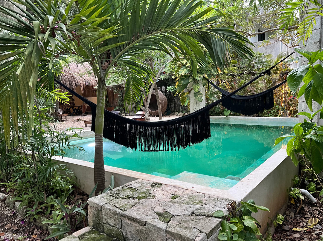 Espíritu Wellness-图伦必去景点