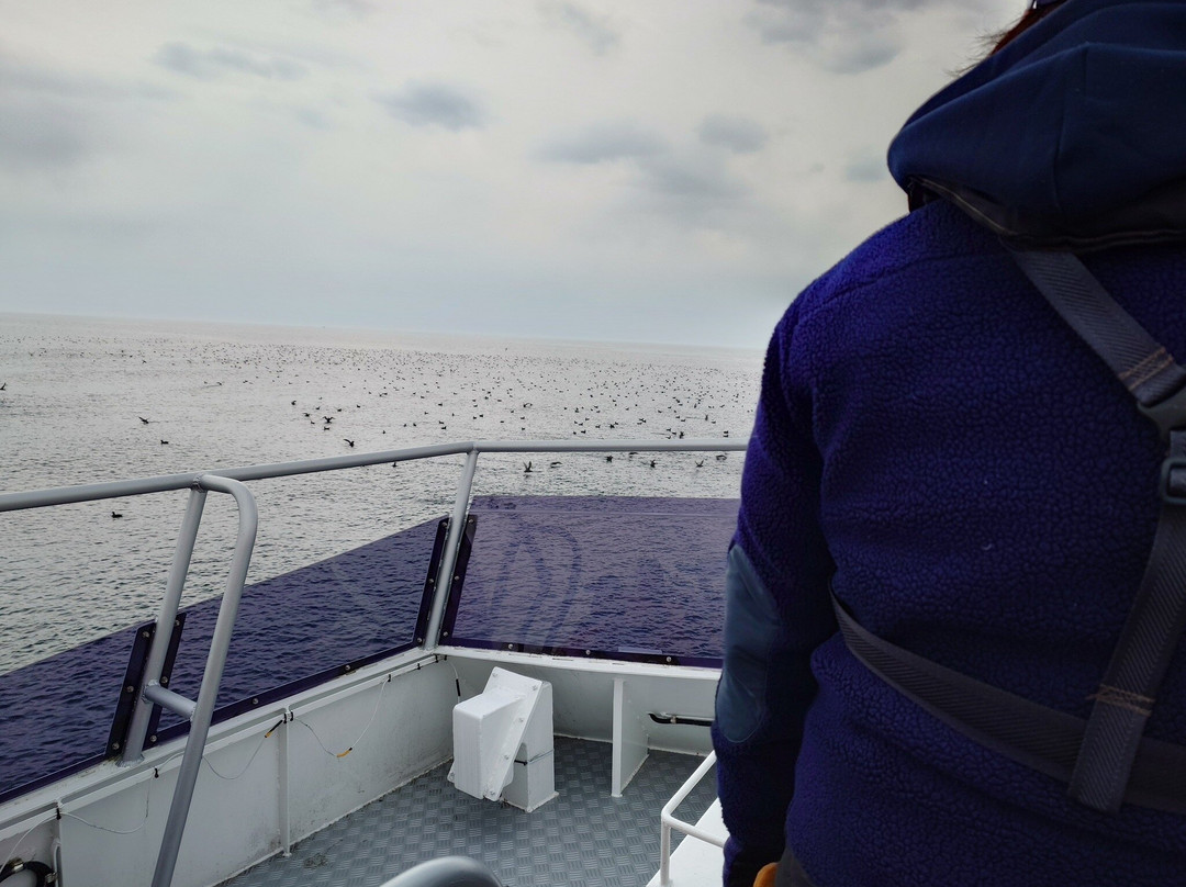 Shiretoko Nature Cruise - Day Tours-罗臼町必去景点