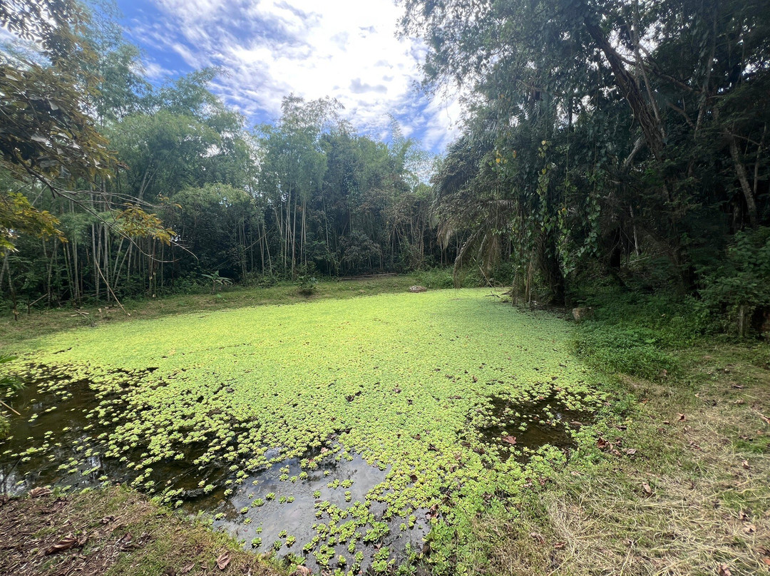Parque Ecologico Ciudad Reptilia-Melgar必去景点