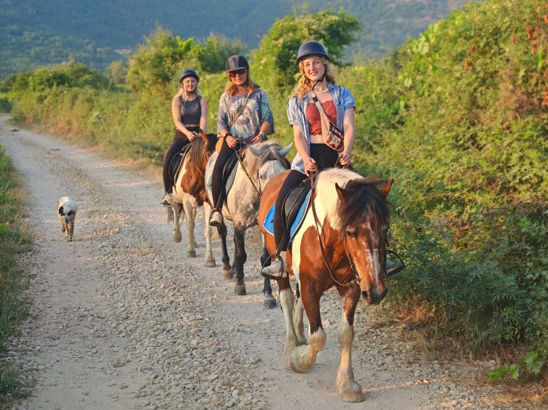 Ranch Dubrovnik-Gruda必去景点