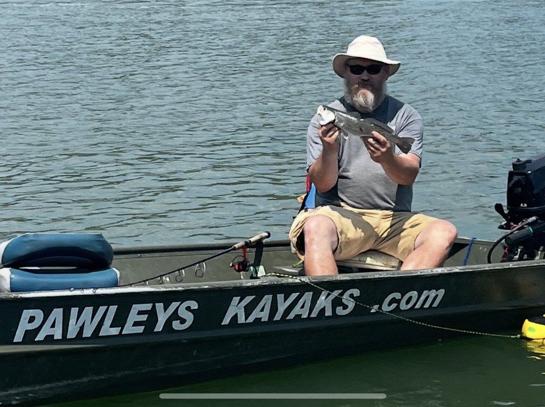 Pawleys Kayaks-帕利斯岛必去景点