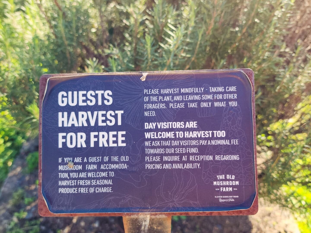 The Old Mushroom Farm-豪威克必去景点