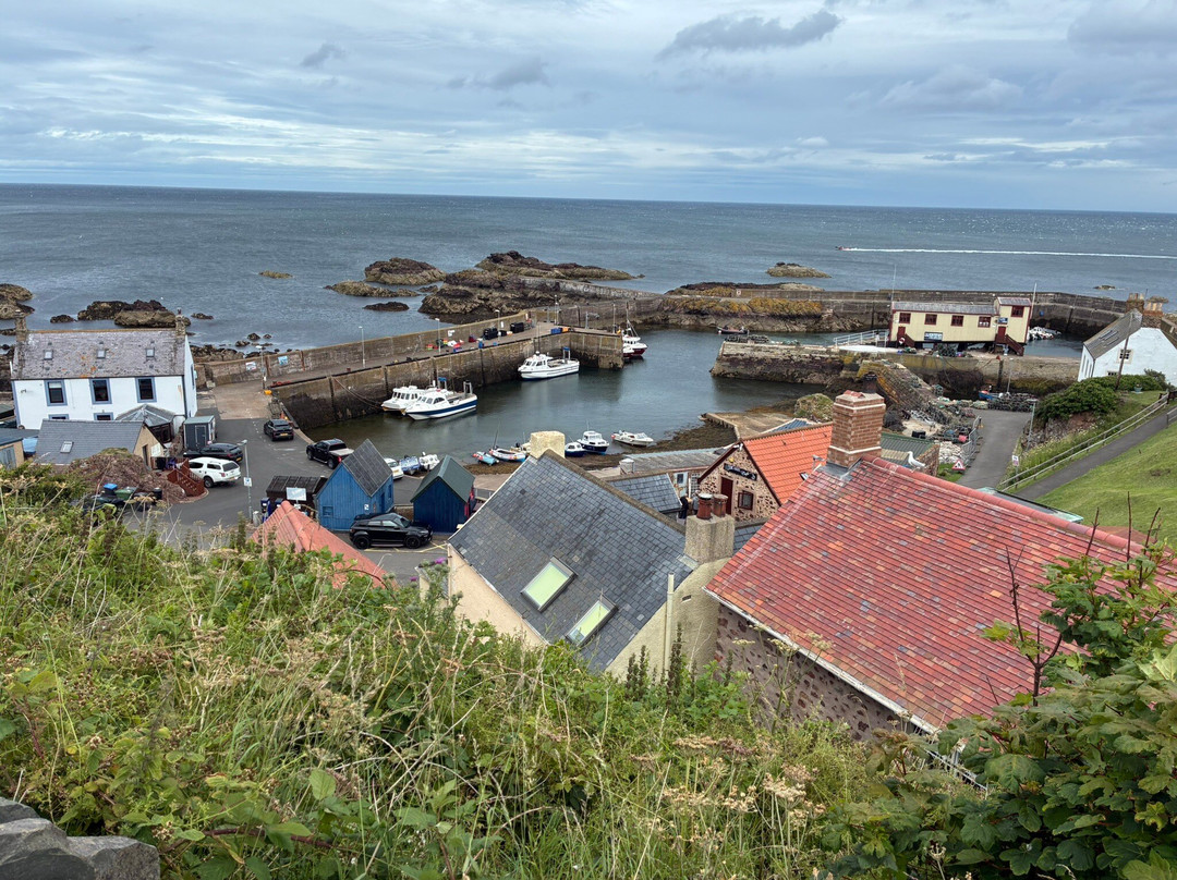 St Abbs Harbour