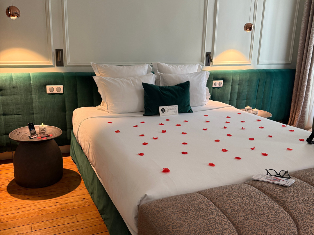 Hôtel Singulier Bordeaux主图
