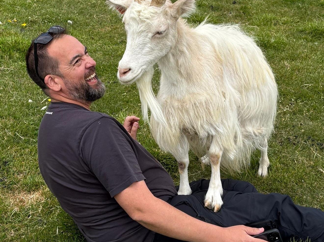 Haafell Goats and Roses-Reykholt必去景点