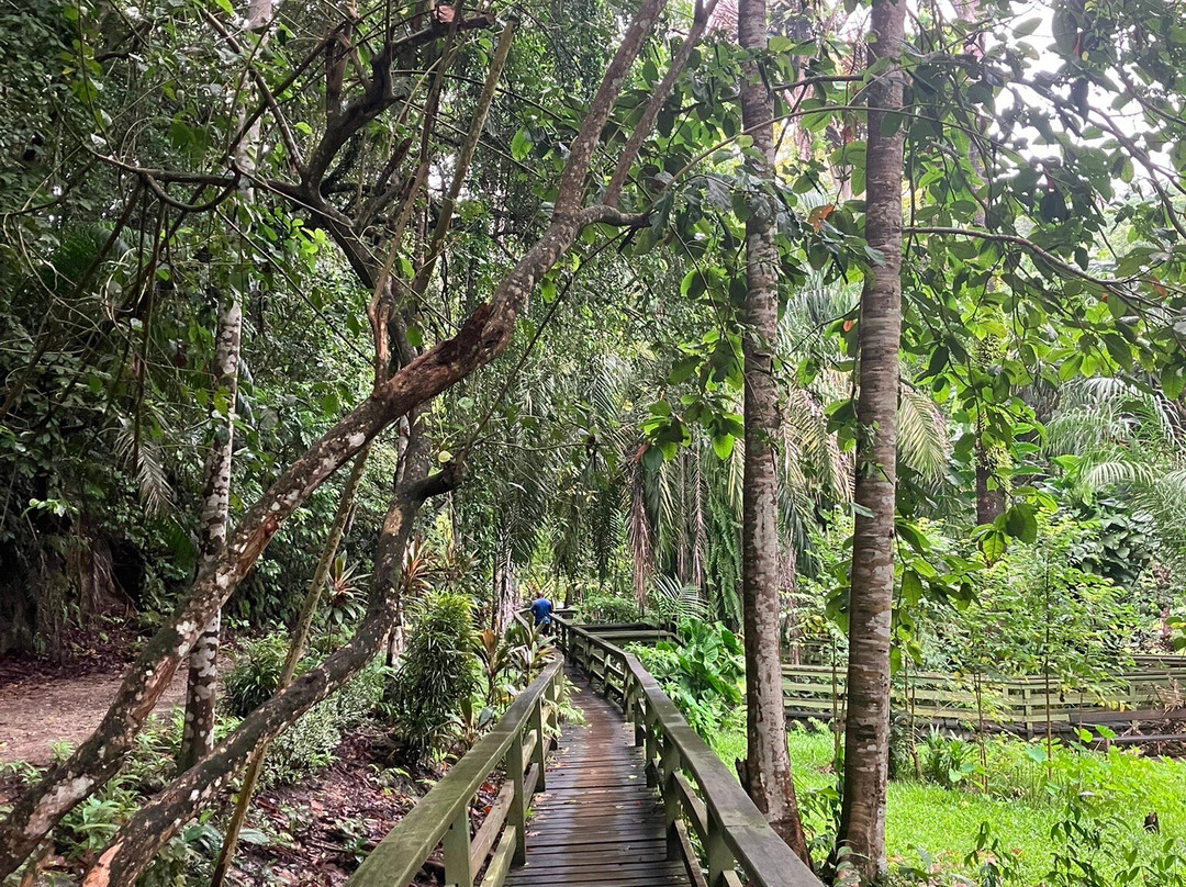 Honiara Botanical Gardens-霍尼亚拉必去景点