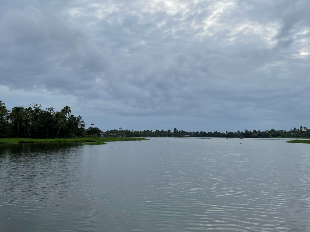 Fantastic Boat Cruise-Pallathuruthy必去景点