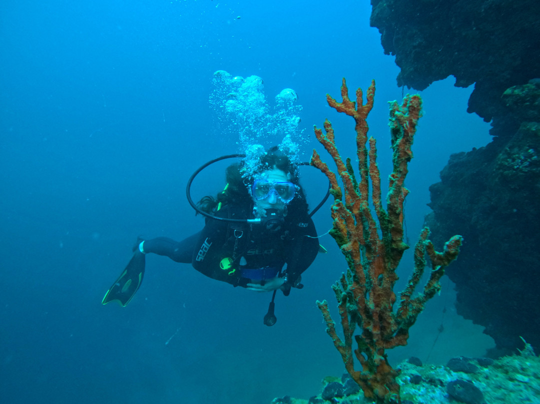Argonauta Diving Resort-Rovies必去景点