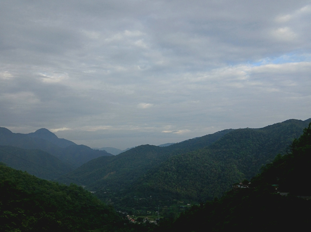 Jim Corbett Jungle Safari JCJS | Jeep Safari-Dhikuli必去景点