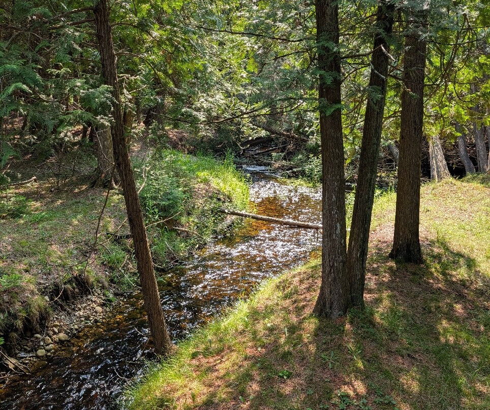 The Ridges Sanctuary-Baileys Harbor必去景点