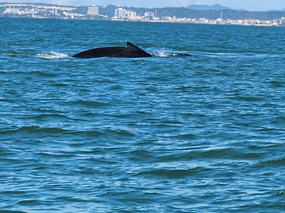 Ecosul Turismo-Ilheus必去景点