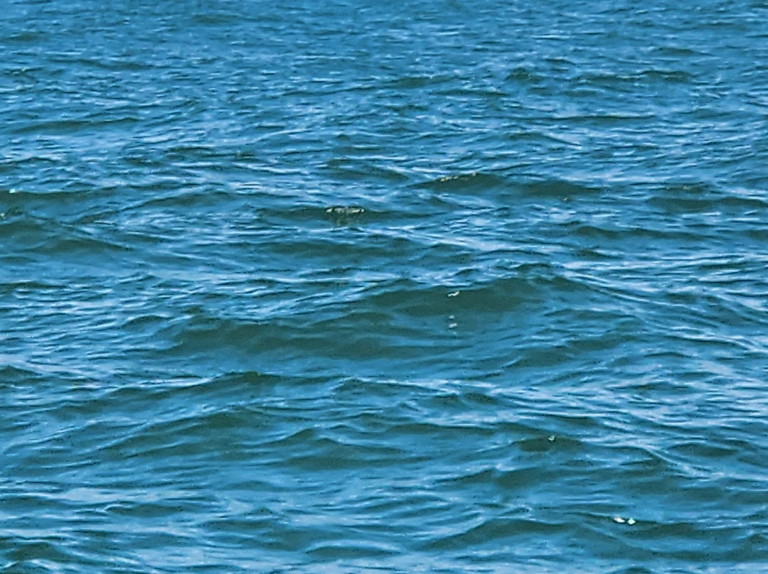 Ecosul Turismo-Ilheus必去景点