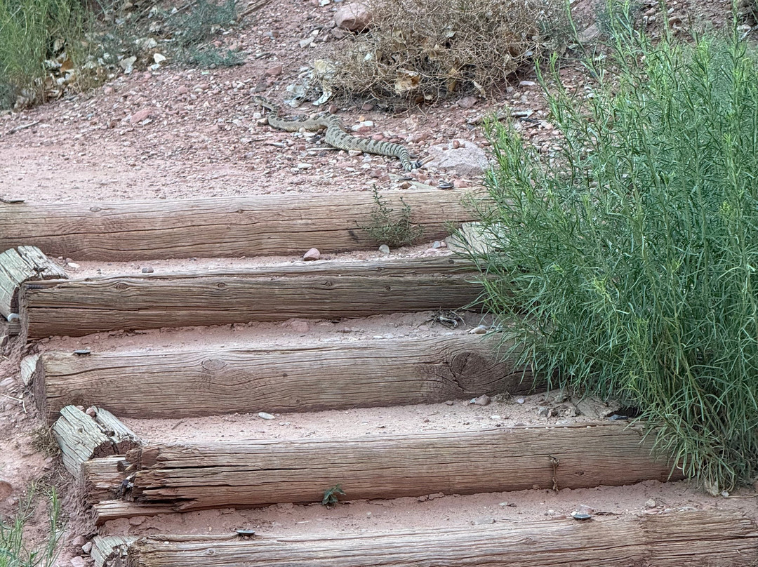 Pa'rus Trail-锡安国家公园必去景点