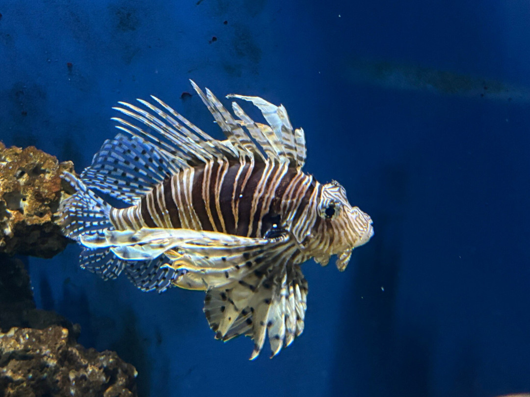 Indianapolis Zoo-印第安纳波利斯必去景点