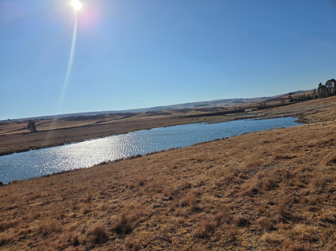Dullstroom on Horseback-德尔斯特鲁姆必去景点
