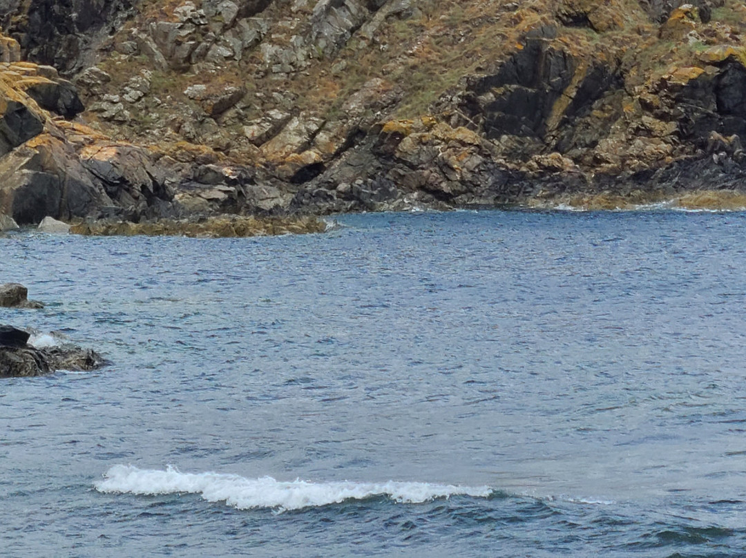 Tarlair Open Air Swimming Pool-Macduff必去景点