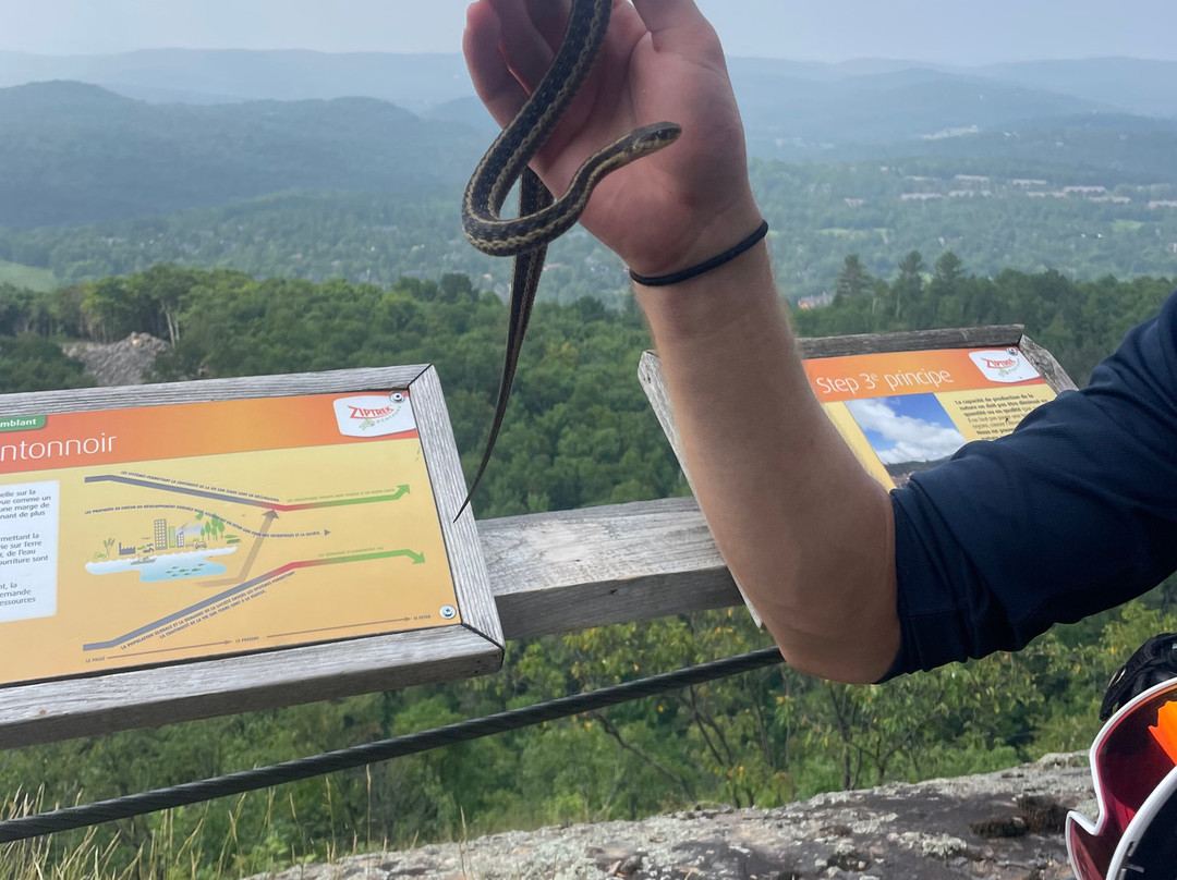 Ziptrek Ecotours-塔伯拉山必去景点