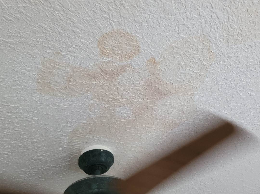 The Deland Hotel主图