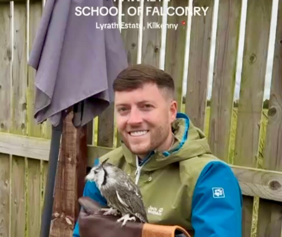 Hawkeye School of Falconry-基尔肯尼必去景点