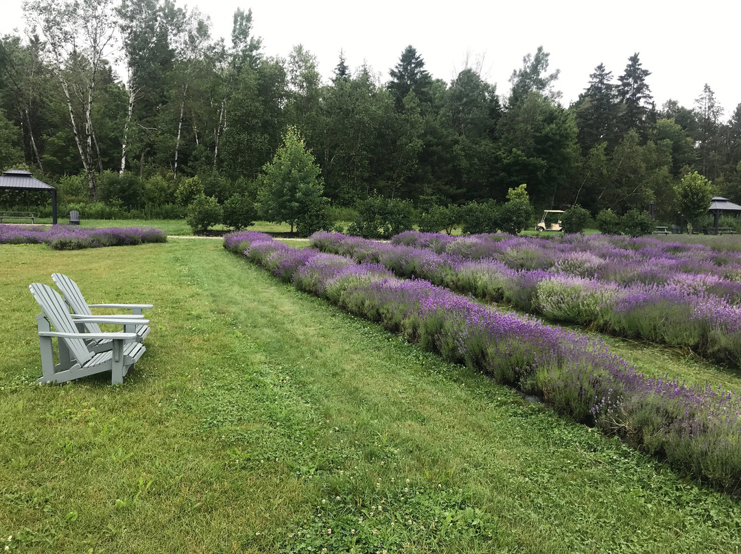 Bleu Lavande-梅戈格必去景点