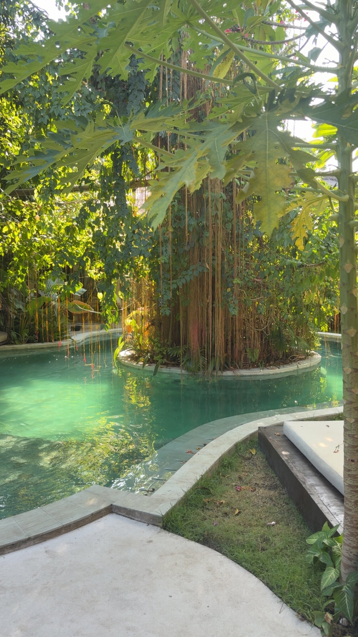 Hani Hideaway-官方