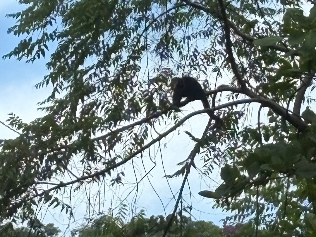 Costa Rica Adventure Thrills-萨迪纳尔必去景点