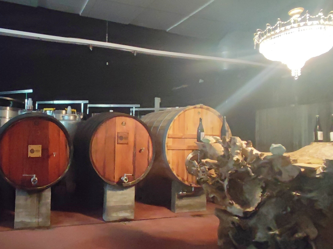 Prior Lucas Vinhos-科英布拉区必去景点