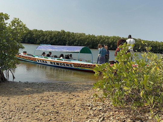Les Îles Du Saloum-Dangane必去景点