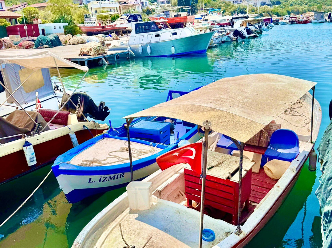 Özbek Marina-Urla必去景点