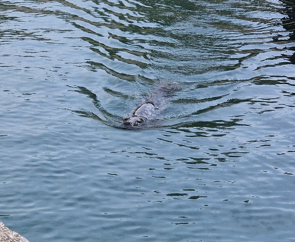 马格达莱纳半岛-桑坦德必去景点