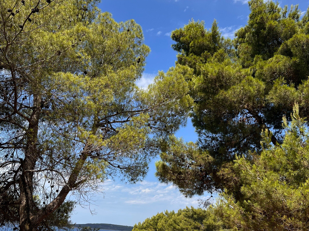 Plovanije Beach-Premantura必去景点