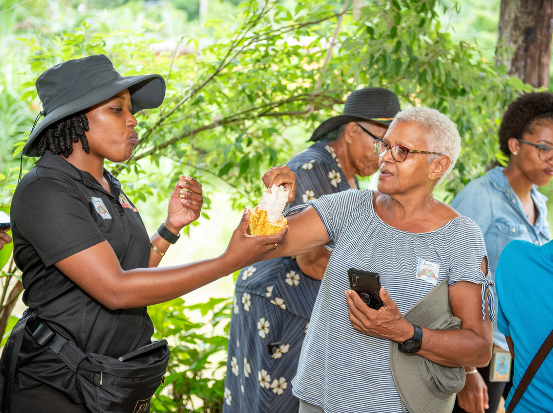 Catadupa Heritage and Eco Tours