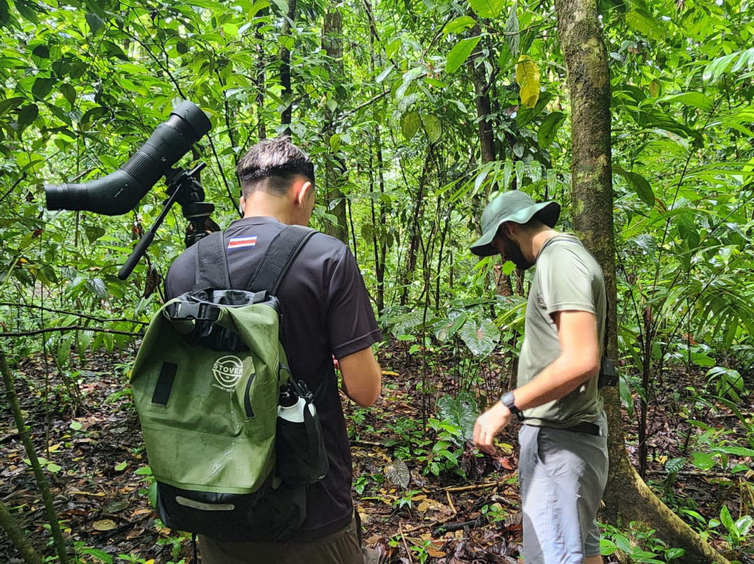 Nature Escapes-Bahia Drake必去景点